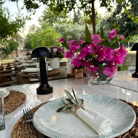 Dolce Luxury فندق