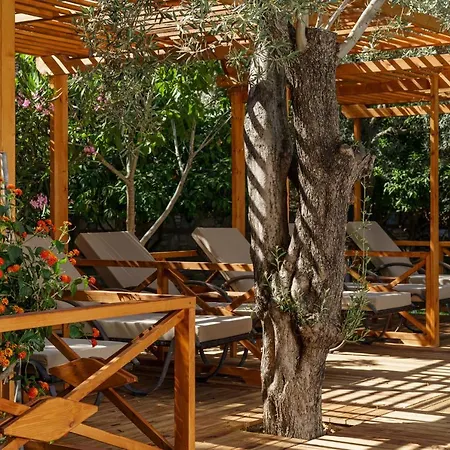 Dolce Luxury Hotel