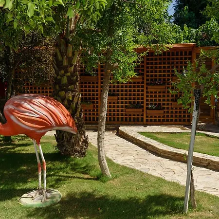 Dolce Luxury Bodrum
