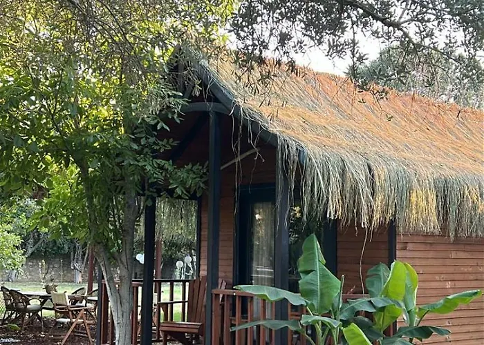 Dolce Luxury * Bodrum